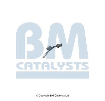 BM Catalysts Drukleiding (PP80674A)