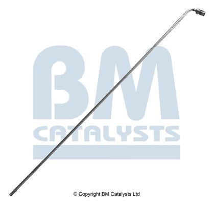 BM Catalysts Drukleiding (PP31037A)