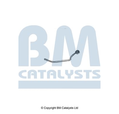 BM Catalysts Drukleiding (PP15134A)