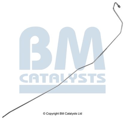 BM Catalysts Drukleiding (PP11091B)