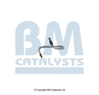 BM Catalysts Drukleiding (PP11558A)