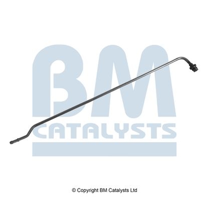 BM Catalysts Drukleiding (PP31031B)