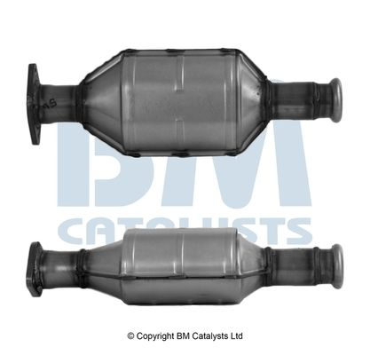 BM Catalysts Katalysator (BM80800H)