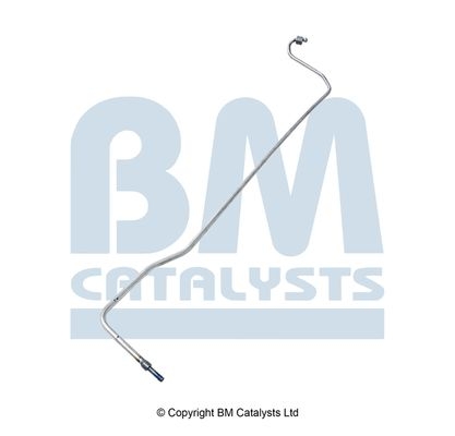 BM Catalysts Drukleiding (PP31282B)