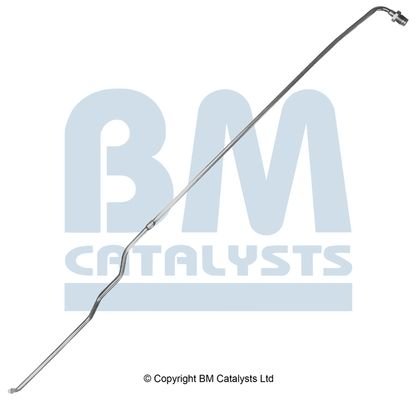 BM Catalysts Drukleiding (PP11277B)