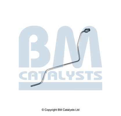 BM Catalysts Drukleiding (PP11783B)