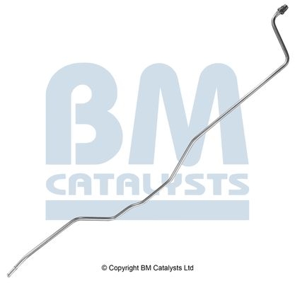 BM Catalysts Drukleiding (PP11074B)