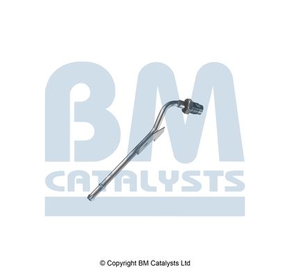 BM Catalysts Drukleiding (PP11784A)