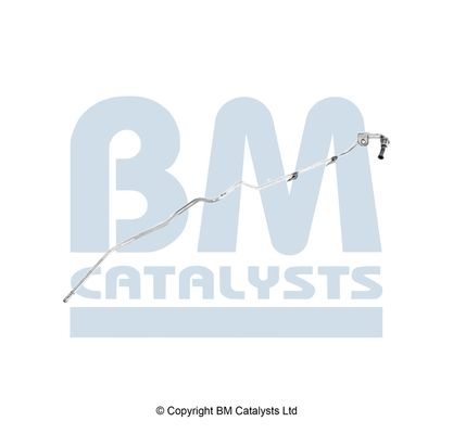 BM Catalysts Drukleiding (PP11322B)