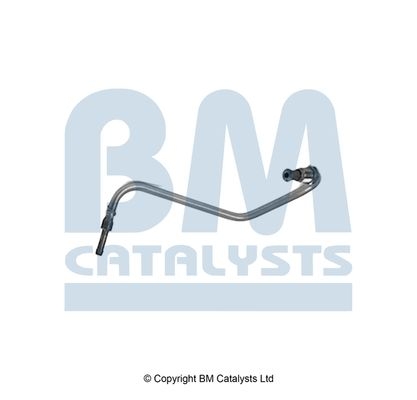 BM Catalysts Drukleiding (PP11558B)