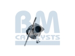 BM Catalysts Roetfilter (BM11024)