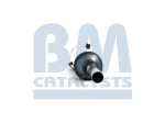 BM Catalysts Roetfilter (BM11039H)