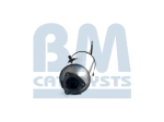 BM Catalysts Roetfilter (BM11036H)