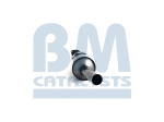 BM Catalysts Roetfilter (BM11241H)