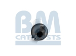 BM Catalysts Roetfilter (BM11089H)