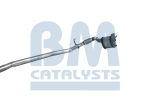 BM Catalysts Roetfilter (BM11152)