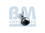 BM Catalysts Roetfilter (BM11036H)