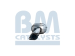 BM Catalysts Roetfilter (BM11111)