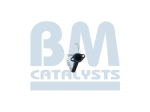 BM Catalysts Verbindingspijp (BM50088)