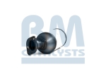 BM Catalysts Roetfilter (BM11366)