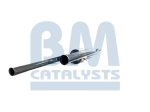 BM Catalysts Roetfilter (BM11055)