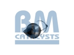 BM Catalysts Roetfilter (BM11206)