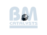 BM Catalysts Roetfilter (BM11180)