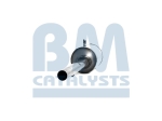 BM Catalysts Roetfilter (BM11233)