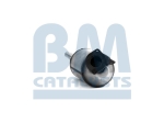 BM Catalysts Roetfilter (BM11022)