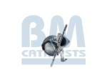 BM Catalysts Roetfilter (BM11024)