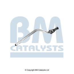 BM Catalysts Drukleiding (PP11183A)