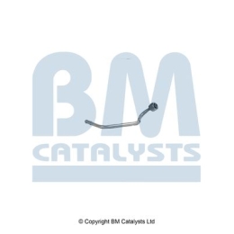 BM Catalysts Drukleiding (PP15134A)