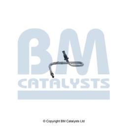 BM Catalysts Drukleiding (PP11558A)