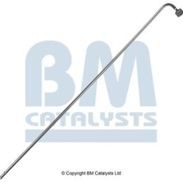 BM Catalysts Drukleiding (PP11415A)