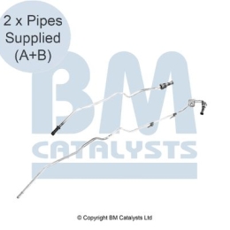 BM Catalysts Drukleiding (PP11322C)