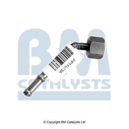 BM Catalysts Drukleiding (PP11073A)