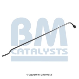 BM Catalysts Drukleiding (PP31031B)