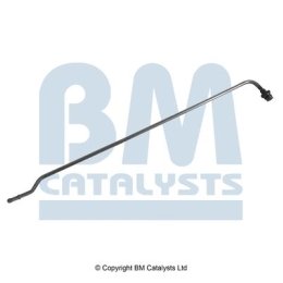 BM Catalysts Drukleiding (PP31031B)