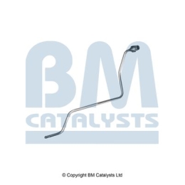 BM Catalysts Drukleiding (PP11784B)