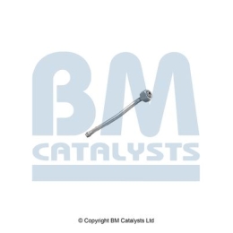 BM Catalysts Drukleiding (PP11375A)
