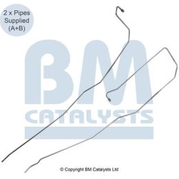 BM Catalysts Drukleiding (PP11091C)