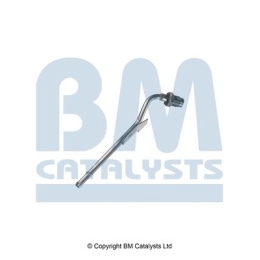 BM Catalysts Drukleiding (PP11784A)