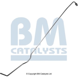 BM Catalysts Drukleiding (PP11117B)