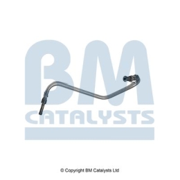 BM Catalysts Drukleiding (PP11558B)
