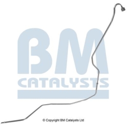 BM Catalysts Drukleiding (PP11094B)