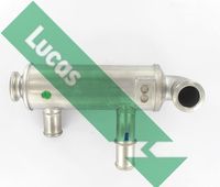 LUCAS Cooler, exhaust gas recirculation (FDR471)