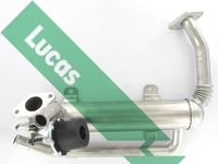 LUCAS Cooler, exhaust gas recirculation (FDR473)