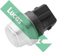 LUCAS Temperature Switch, coolant warning lamp (SNB1141)