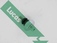 LUCAS Oil Pressure Switch (SOB111)