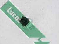 LUCAS Oil Pressure Switch (SOB806)